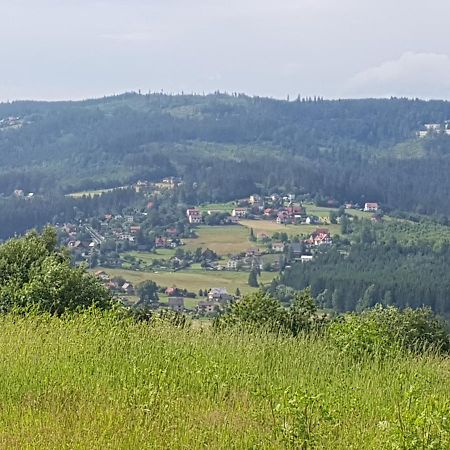 Willa Jana Istebna Bagian luar foto