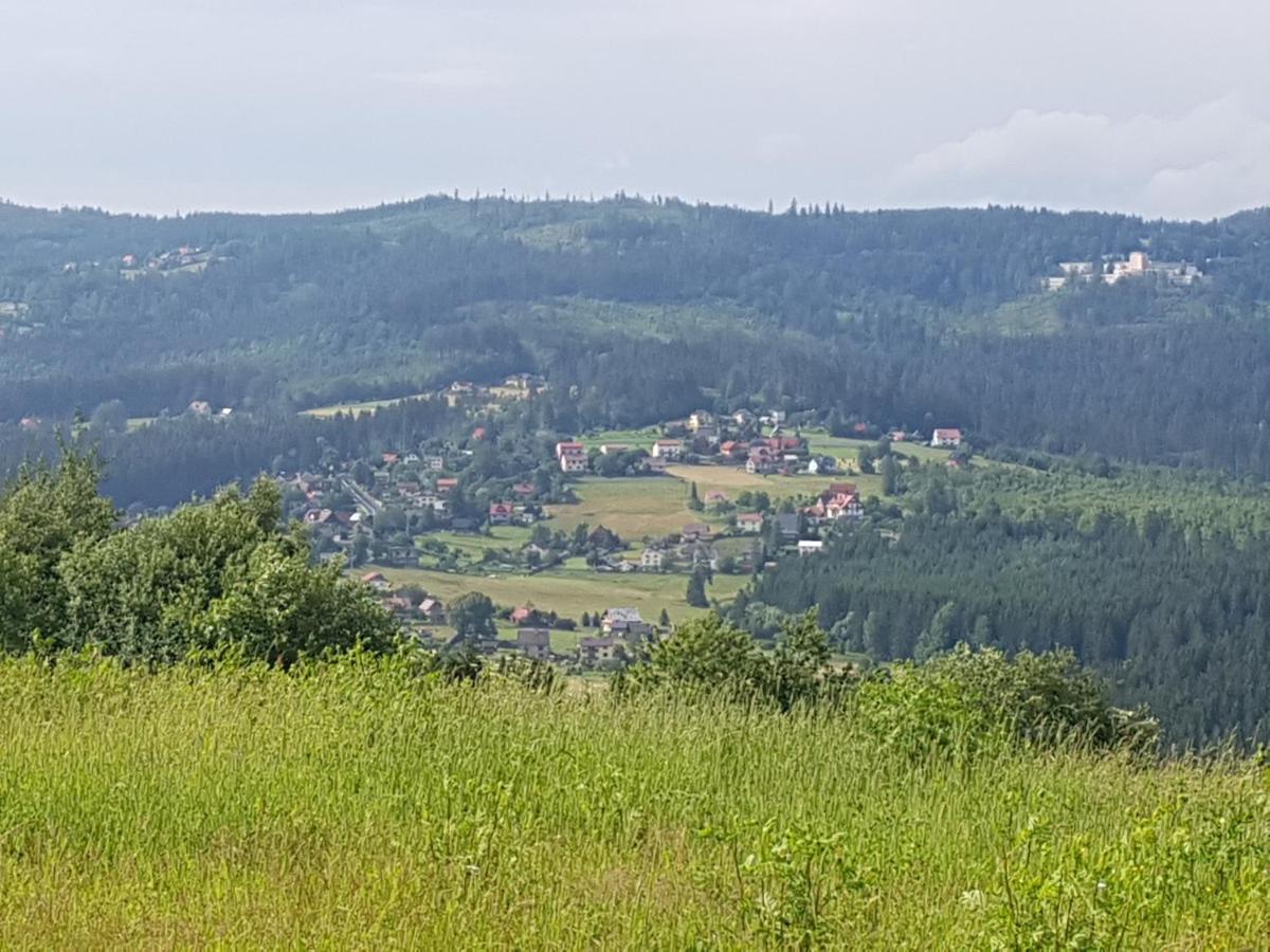 Willa Jana Istebna Bagian luar foto